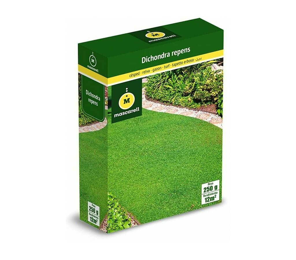 Semillas Césped Dichondra Repens 250g 20g=m²_0