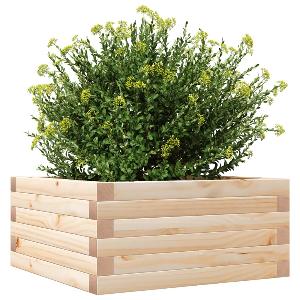 Jardinera De Madera Maciza De Pino 50x50x23 Cm_3