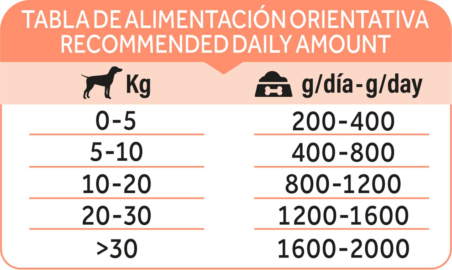 Dibaq Natural Moments Adulto Salmón Con Mango, 12 Latas X 380gr_5