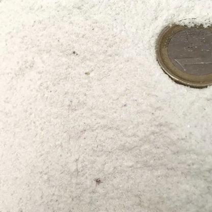 Arena Chorreo Granallado / Big Bag 1.000 Kg. / Fina 0.3-0.6 Mm Seca_4