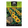 Semillas de Girasol para pipas Batlle