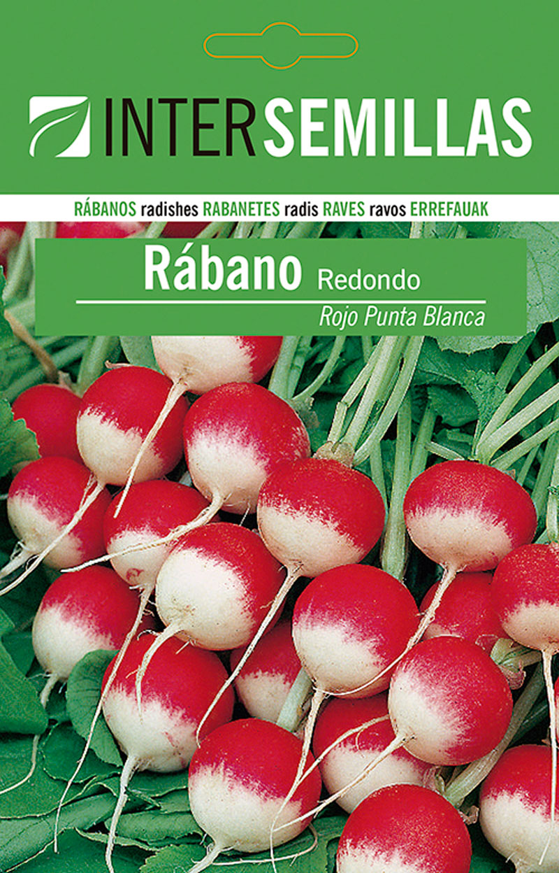 Sobre De Semillas De Rabano Redondo Rojo Punta Blanca