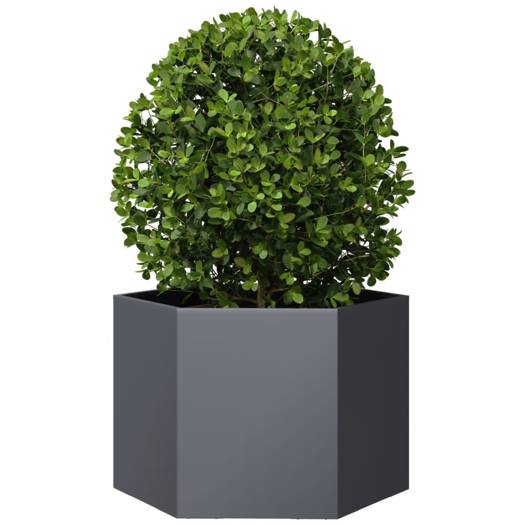Jardinera Hexagonal Acero Gris Antracita 69x60x45 Cm_2