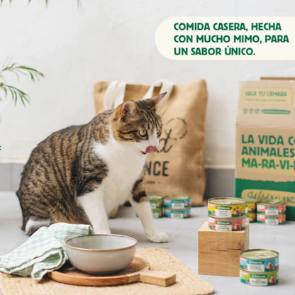 Pack Ragut tradicional de ternera y pollo para gatos 6 x 80 g Wild Balance