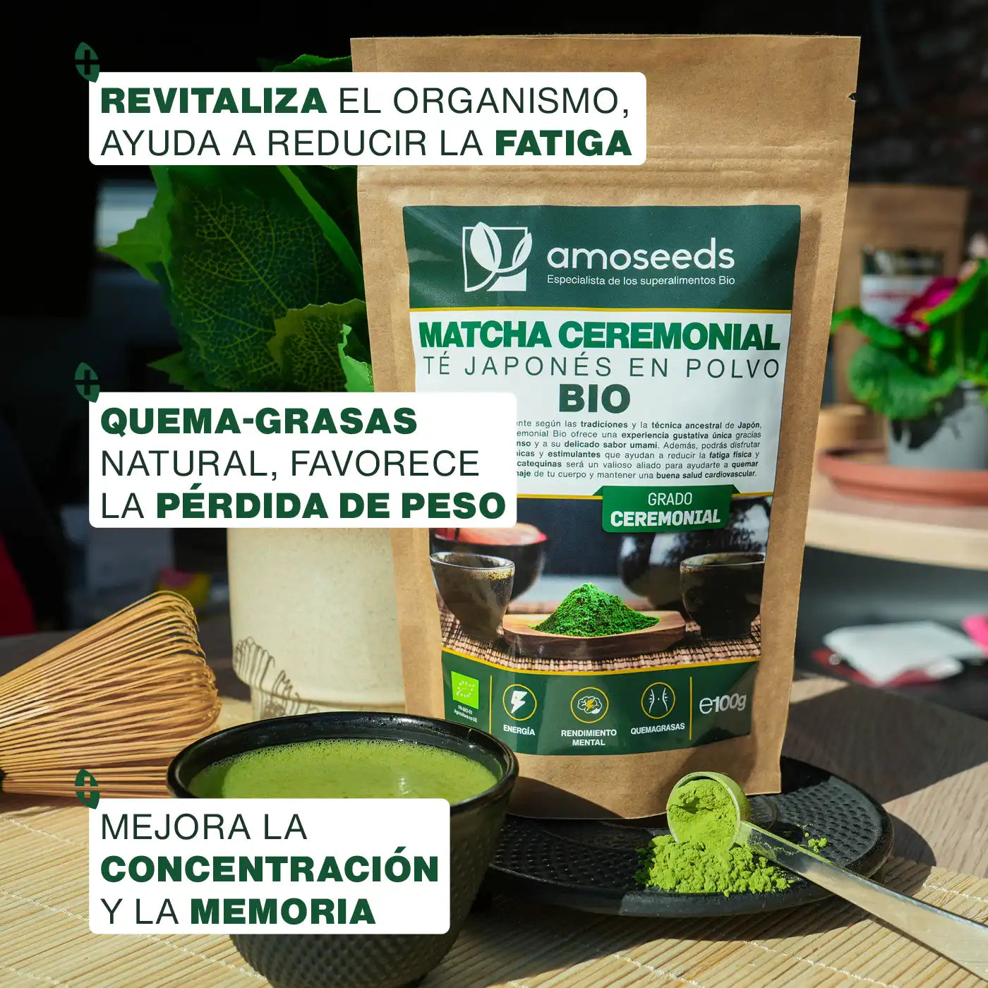 Té Matcha Ceremonial Japonés Bio 100g_2