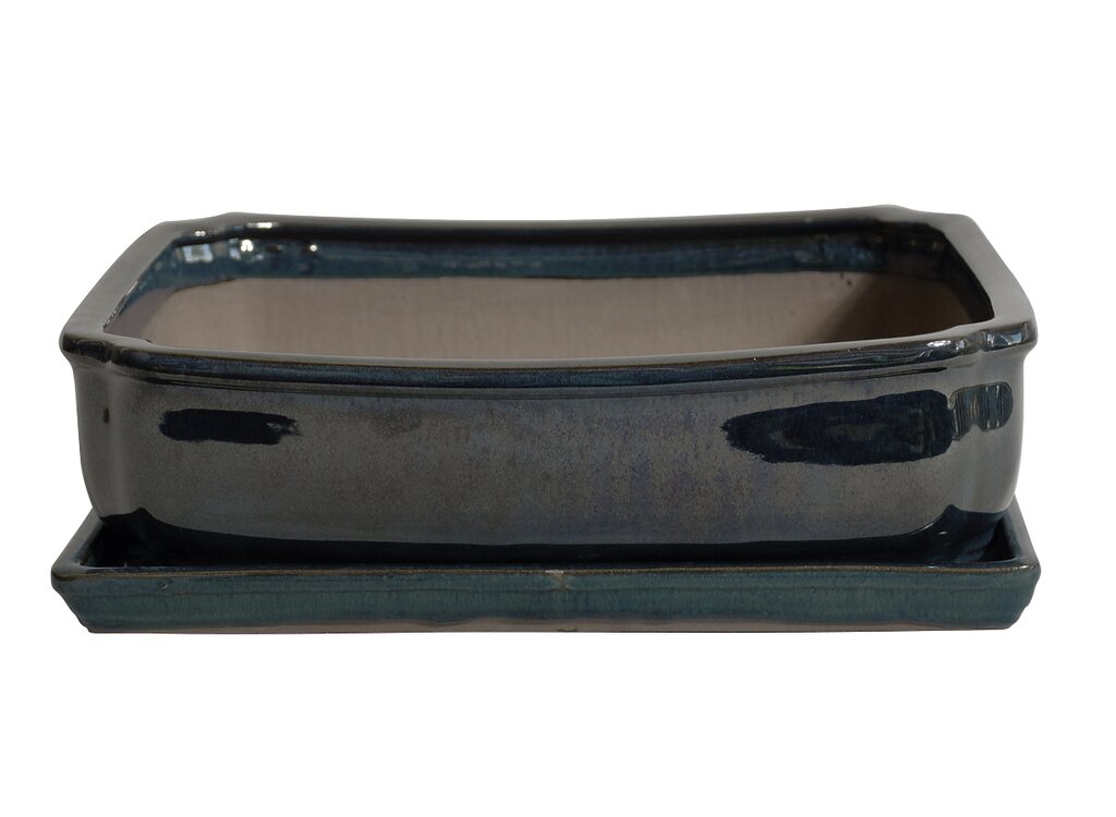 Tiesto Laxe Con Plato Verde 31x25x9cm