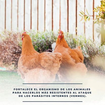 Soluverm - Desparasita Tus Gallinas, Faisanes Y Conejos Contra Parásitos Internos Tipo Vermes - 1 L_3