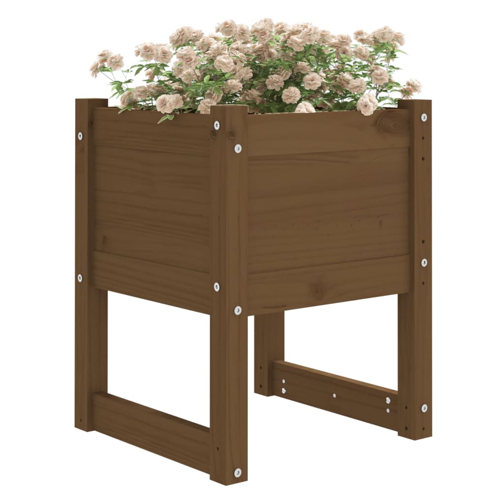 Jardinera 2 Uds Madera Maciza De Pino Marrón Miel 40x40x52,5 Cm_2