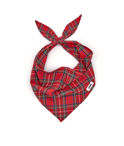 Cafide Bandana Para Perro Tartán Royal Steward. Modelo Nata. Talla L (38-42 Cm)_0