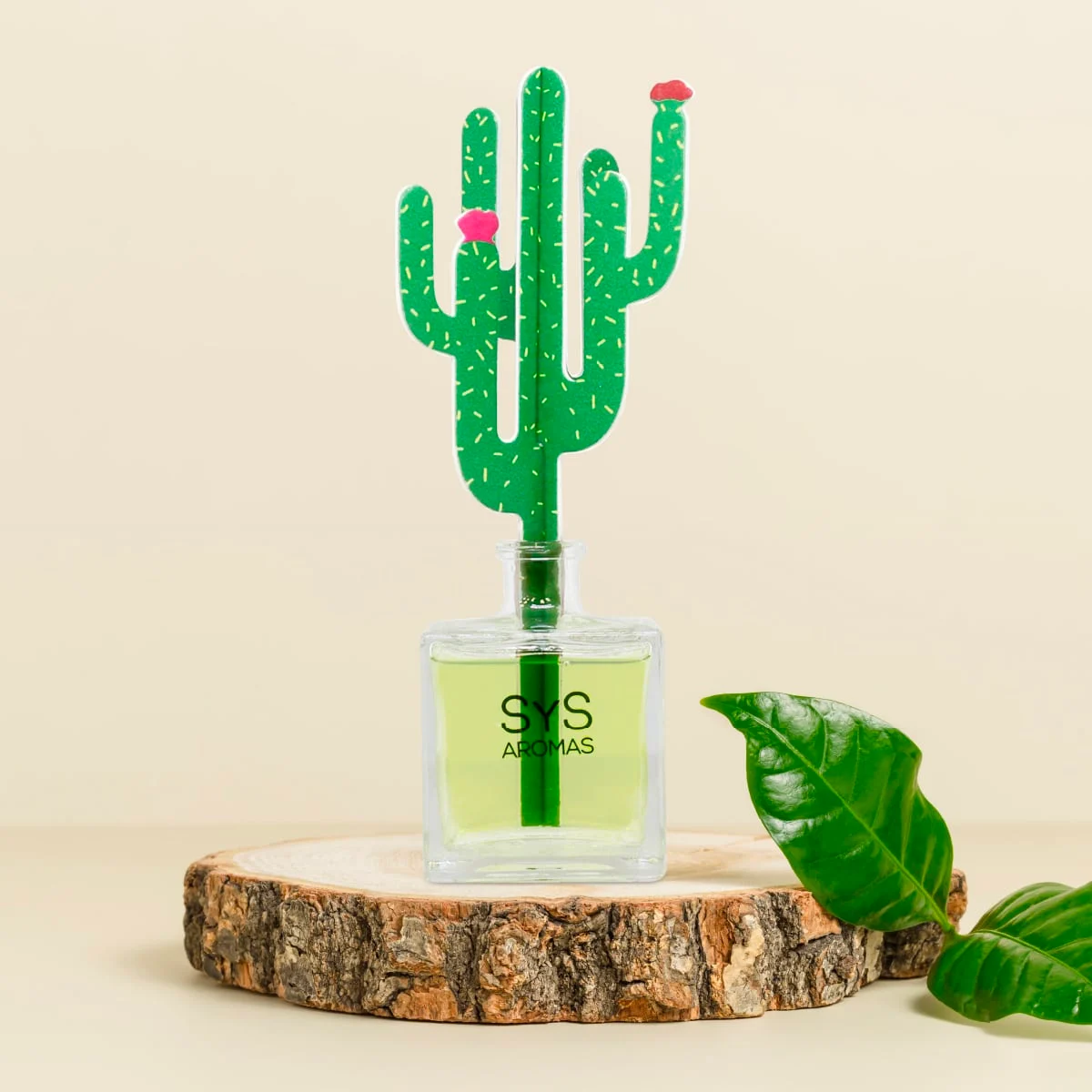 Ambientador Difusor Cactus Aloe Vera-Bambú Deco Diffuser SYS Aromas 90 ml | Aroma Agreste y Herbal | Relajante_1