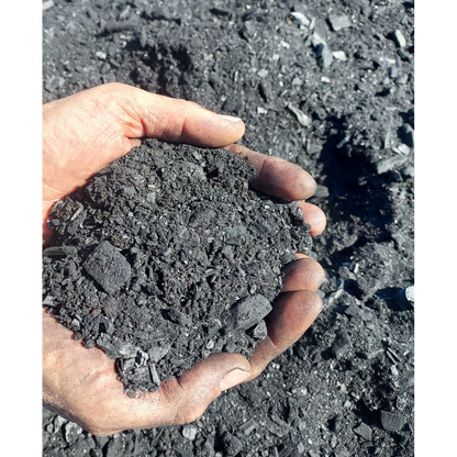 Arbochar -Enmienda con biochar para árboles- LivingChar 500L_1