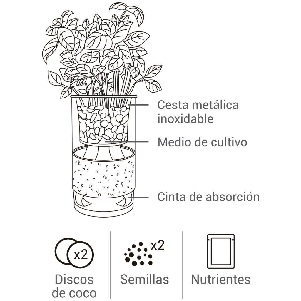 Cultivo Hidropónico de Cilantro y Orégano, Ideal Regalo Garden Pocket