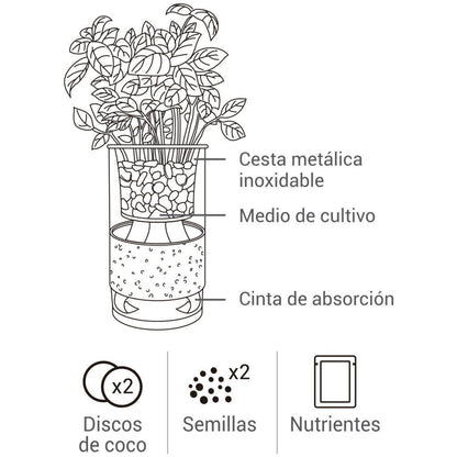 Cultivo Hidropónico de Cilantro y Orégano, Ideal Regalo Garden Pocket