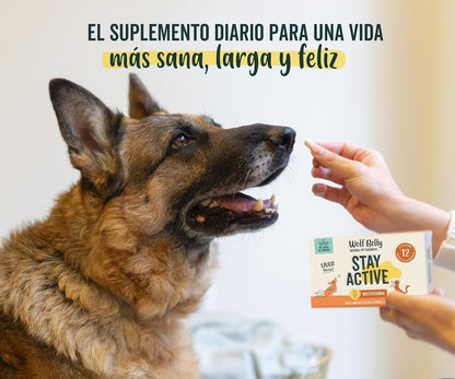 Wolf Belly Stay Active Vitaminas para Perros Senior +8 años 30 comp
