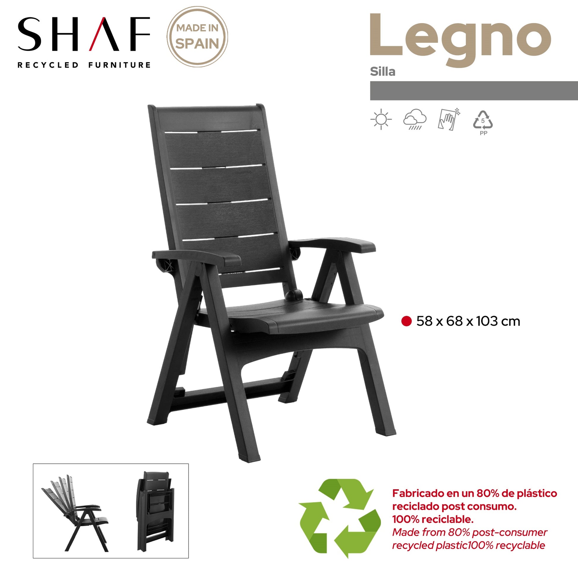 Sillón Legno Multiposición - Antracita_2