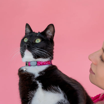 Collar Para Gato Fashioncat Estampado Rosa Rogz Ajustable 20-31cm_3