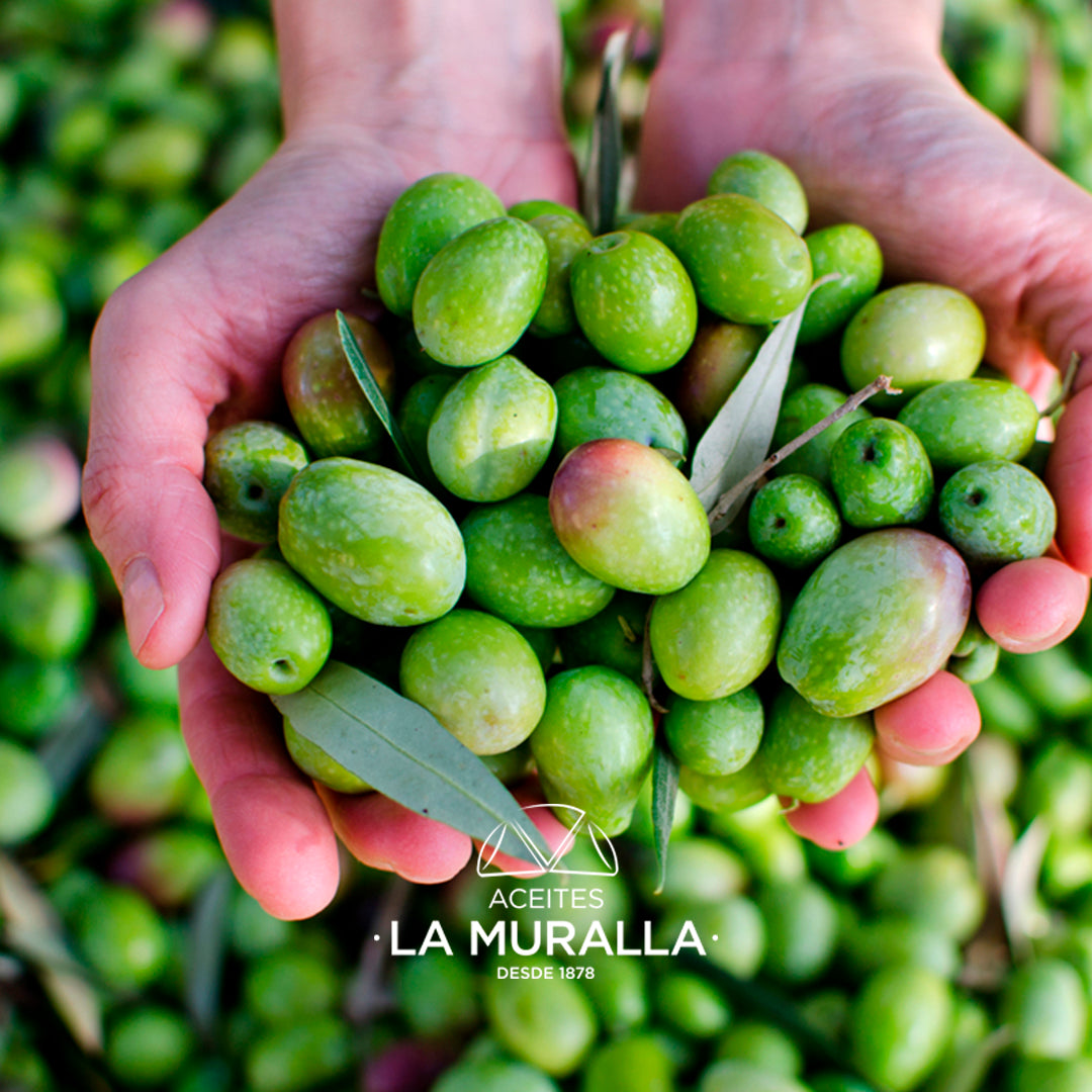 iOliva | Aceite De Oliva Virgen Extra |  Variedad Hojiblanca | Olivar Tradicional | Bag In Box 3 L con Aceitera_3