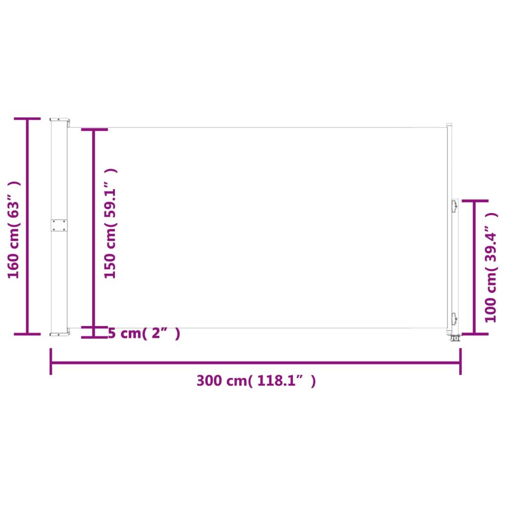 Vidaxl Toldo Lateral Retráctil De Jardín Gris160x300 Cm_2