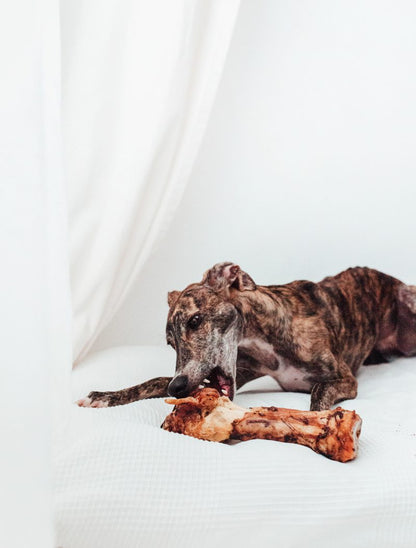 Bimordiscos Pata De Vaca Para Perros.