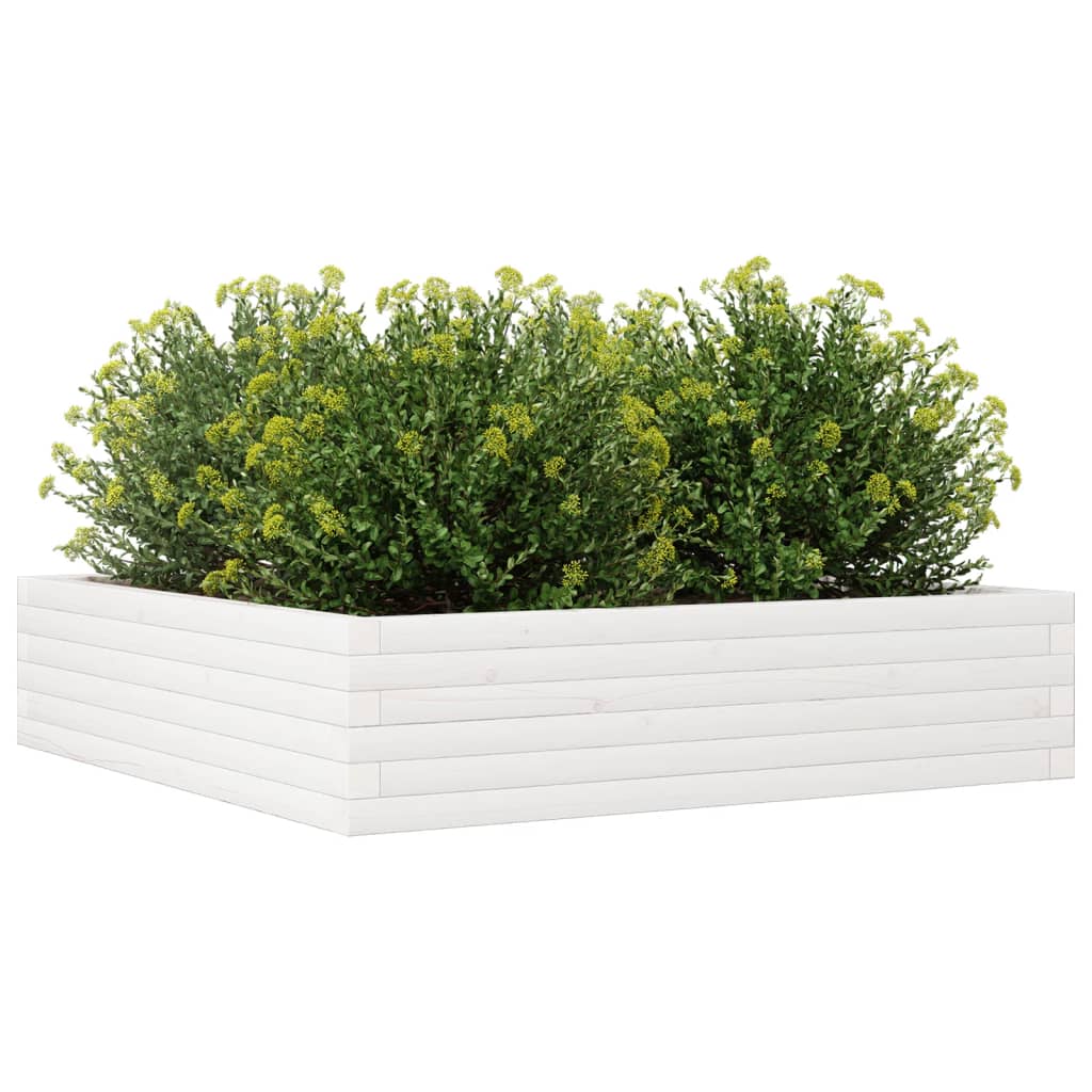 Jardinera Madera Maciza De Pino Blanco 100x100x23 Cm_3