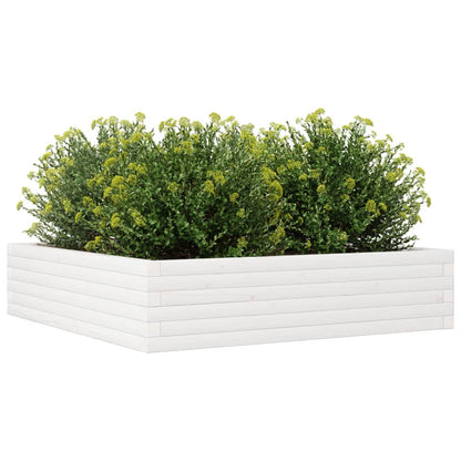 Jardinera Madera Maciza De Pino Blanco 100x100x23 Cm_3
