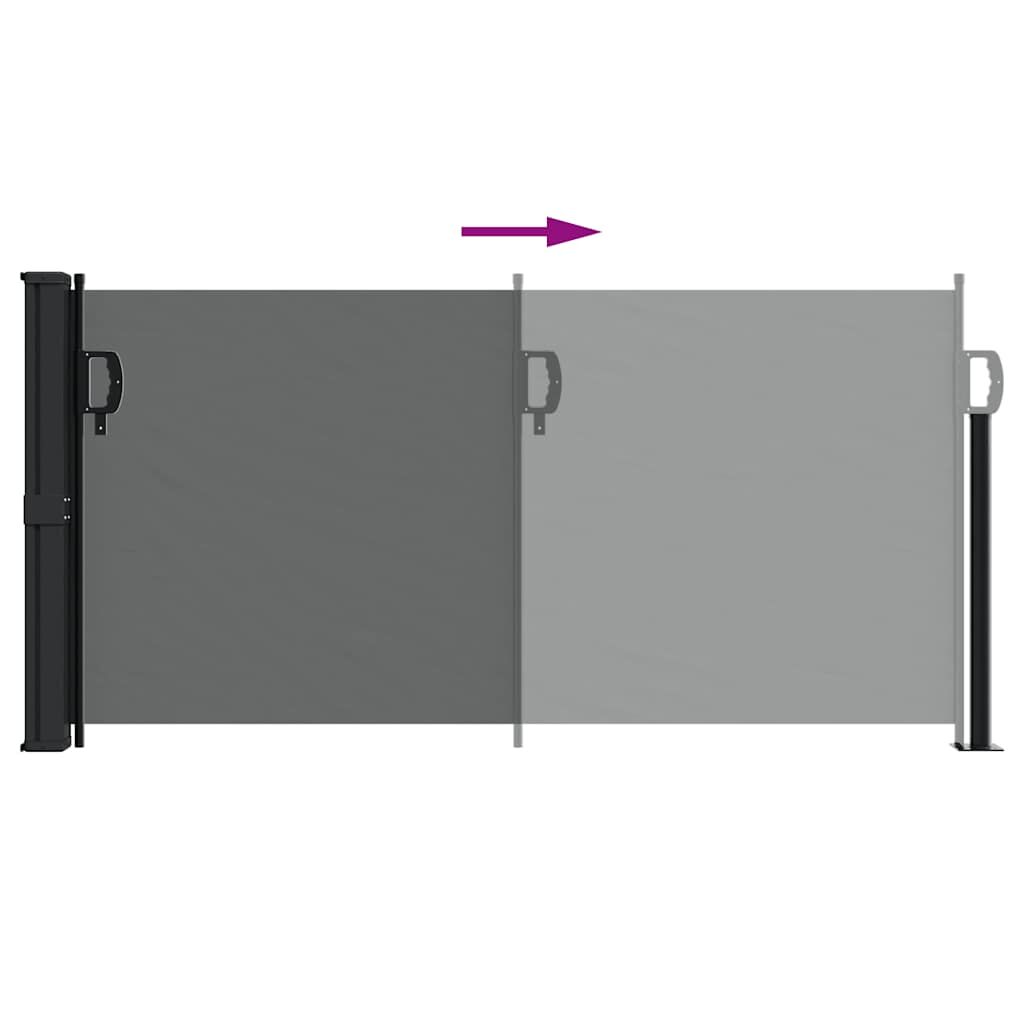 Vidaxl Toldo Lateral Retráctil Antracita 100x500 Cm_4