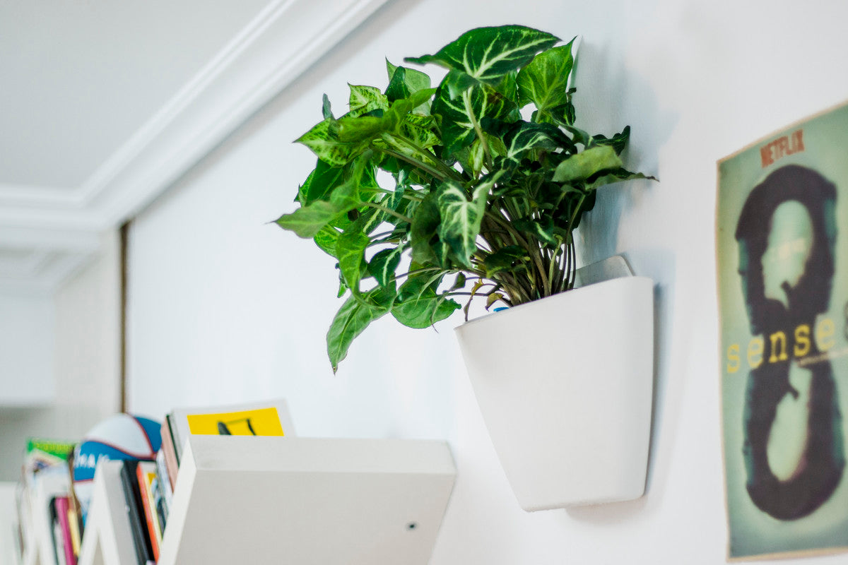 Jardín Vertical Modular Citysens Con Riego Manual De 6 Macetas – Blanco, Polipropileno 100% Reciclado_2