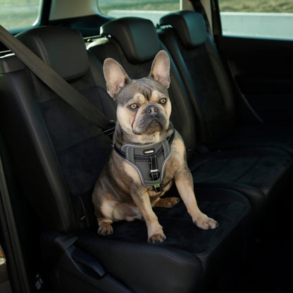 Kerbl Arnés De Seguridad De Coche Para Mascotas Negro 50-65 Cm_4