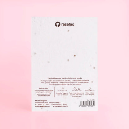 Postal Plantable - Summer Vibes_1