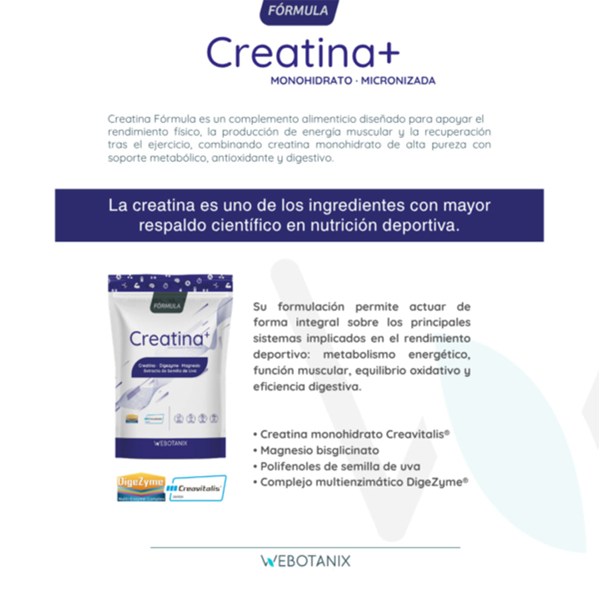 Creatina Fórmula Creavitalis WeBotanix 175g en polvo