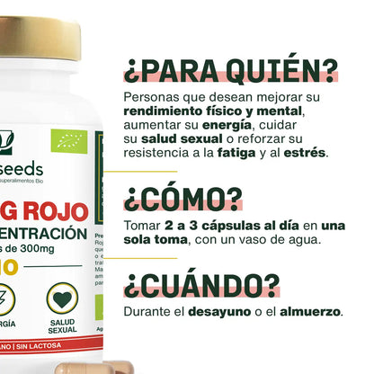 Ginseng Rojo Bio, Alta Concentración | 60 Cápsulas_1