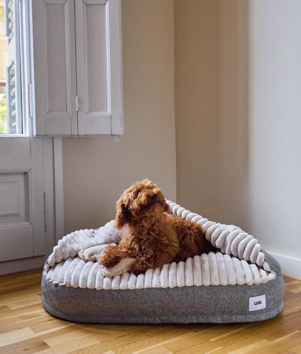Cafide Cama Con Capucha Para Perro Con Tejido Chenilla Gris. Modelo Maso. Talla S (50x60x10 Cm)_3