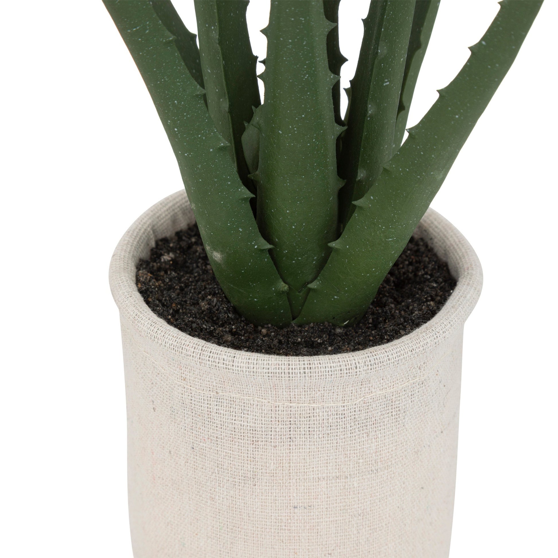 Planta De Aloe En Maceta Natural H29cm