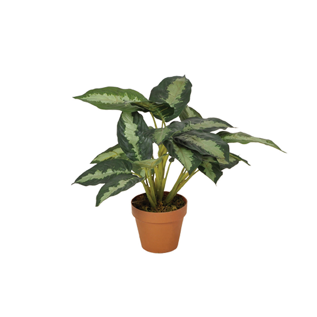 Planta Artificial Calatea - Decoración Natural Y Sin Mantenimiento 1.35 M / Multicolor_0