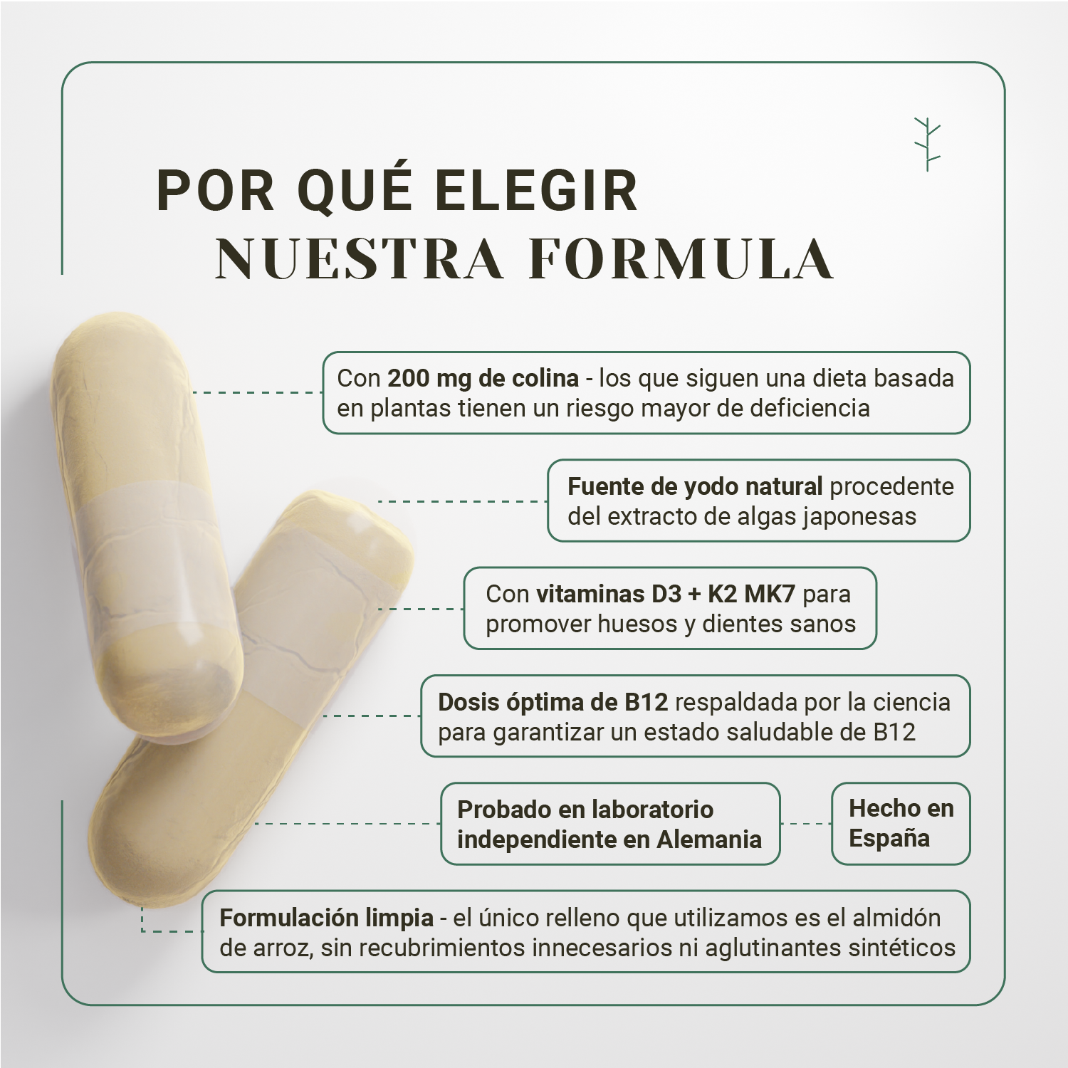 Multivitaminas veganas all-in-one – b12, d3, k2, hierro y zinc para dieta vegana (4 meses)_2