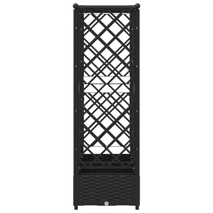 Cama Elevada Con Trellis Y Techo Negro 203 X 40 X 121 Cm Pp_4