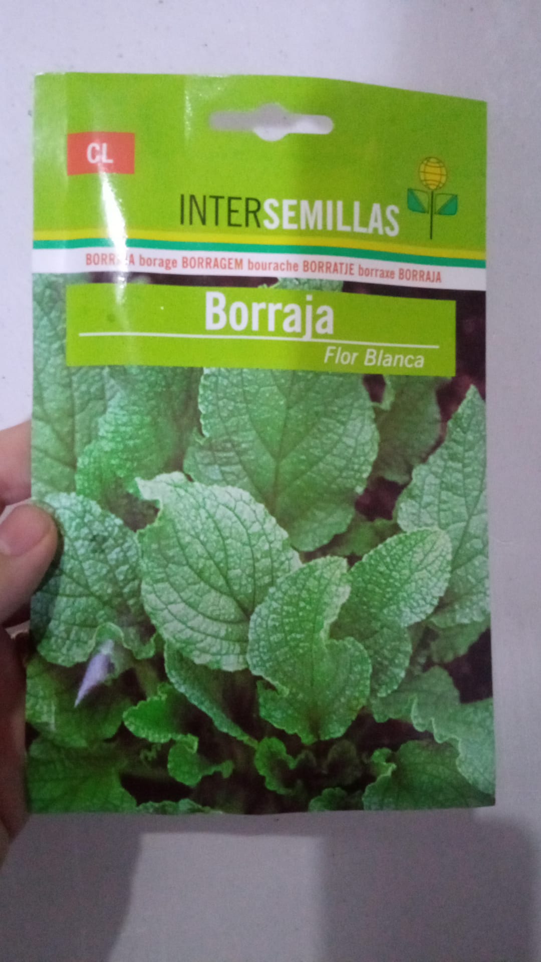 Sobre De Semillas De Borraja De Flor Blanca