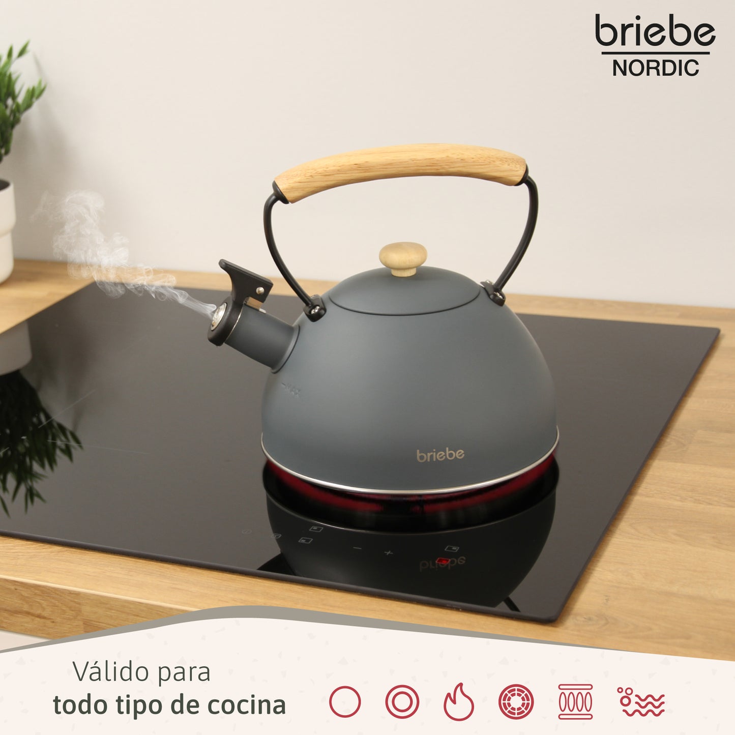 Briebe Tetera Con Silbato, Hervidor De Agua 2,3l, Inducción, Acero Inox, Vintage, Mango Madera, Nordic, Gris_2