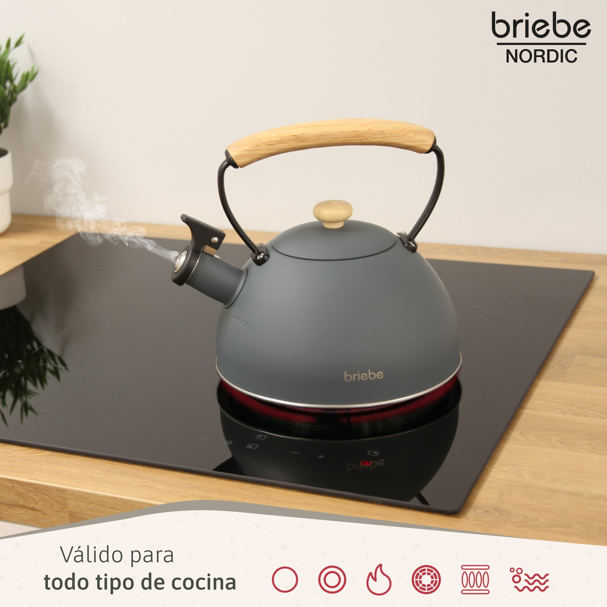 Briebe Tetera Con Silbato, Hervidor De Agua 2,3l, Inducción, Acero Inox, Vintage, Mango Madera, Nordic, Gris_2