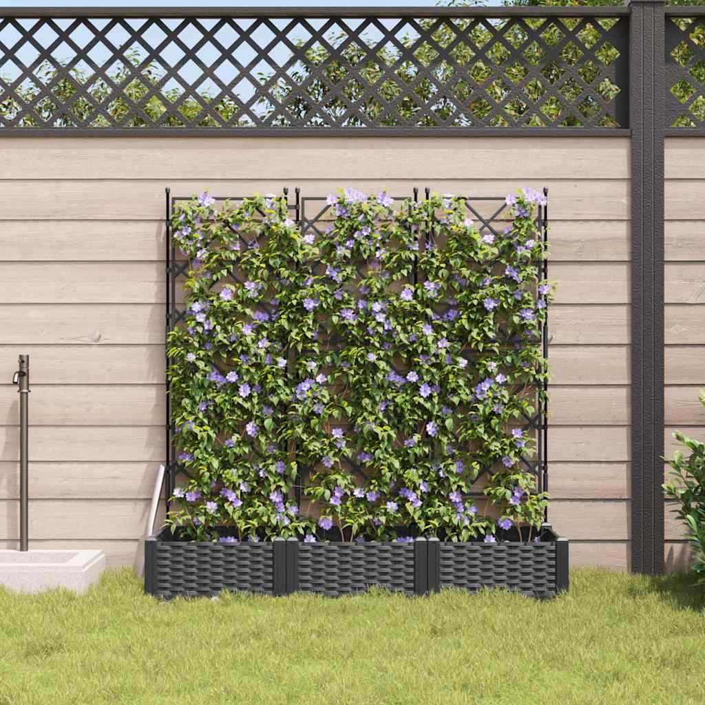 Macetero De Jardín 3 Uds. Negro 120 X 40 X 125,5 Cm Pp_2