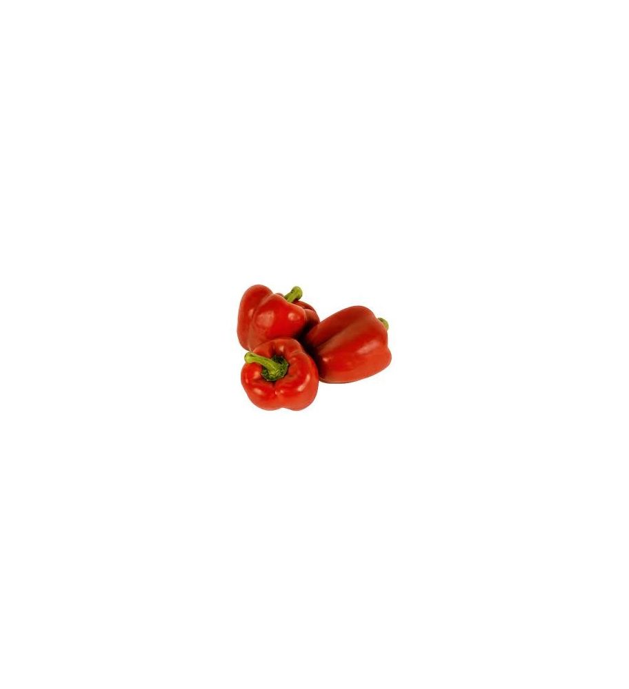 Plantón Pimiento Morrón De Conserva (10 Unidades)_2