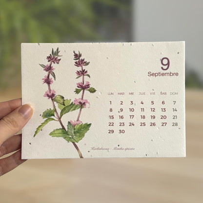 Calendario plantable de Navidad 2026 Transforma el tiempo en naturaleza Planeta Huerto