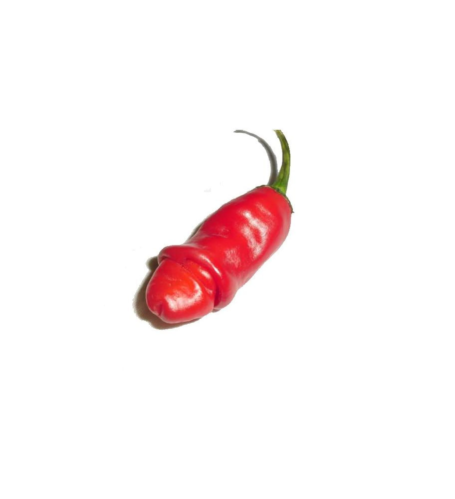 Plantón Pimiento Pene (10 Unidades)_0