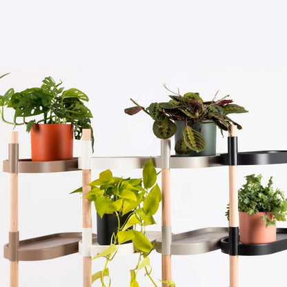Soporte Modular Citysens De 8 Bandejas Gris, Con 4 Plantas De Regalo_4