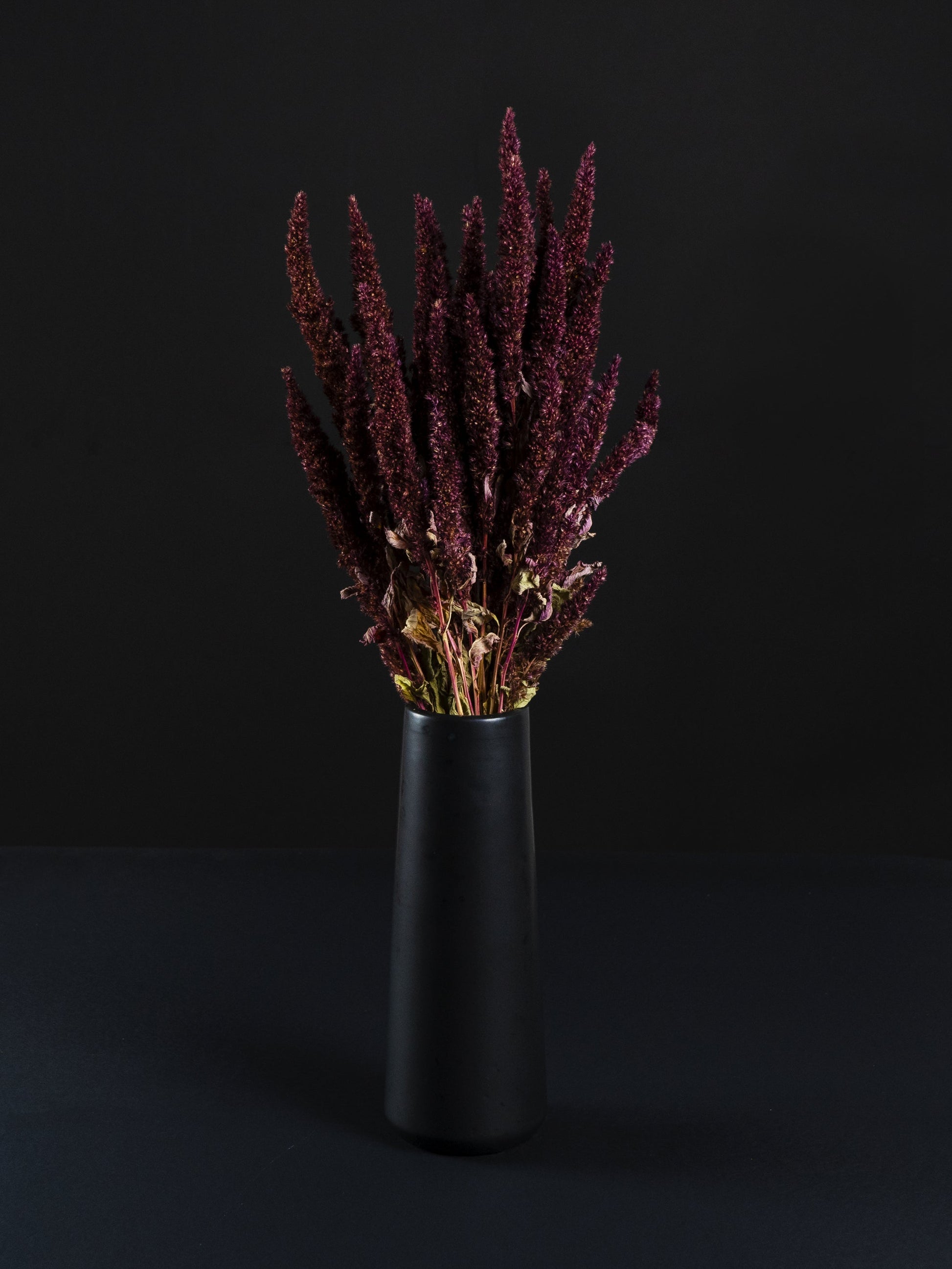 Amaranthus Preservada