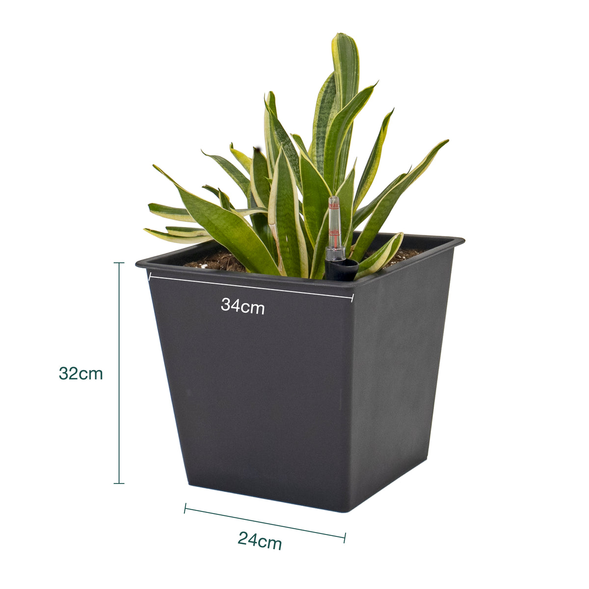 Maceta Con Autorriego De Polipropileno 36 L 34x34x31 Cm Hortalia_5