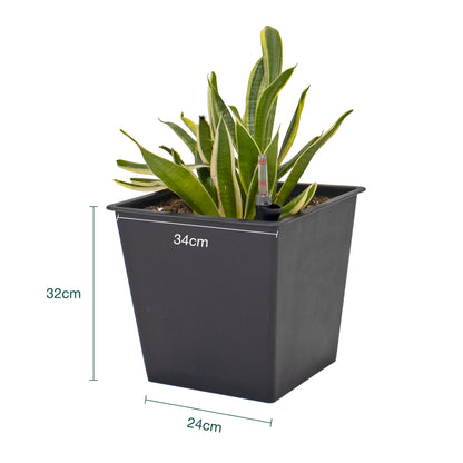 Maceta Con Autorriego De Polipropileno 36 L 34x34x31 Cm Hortalia_5