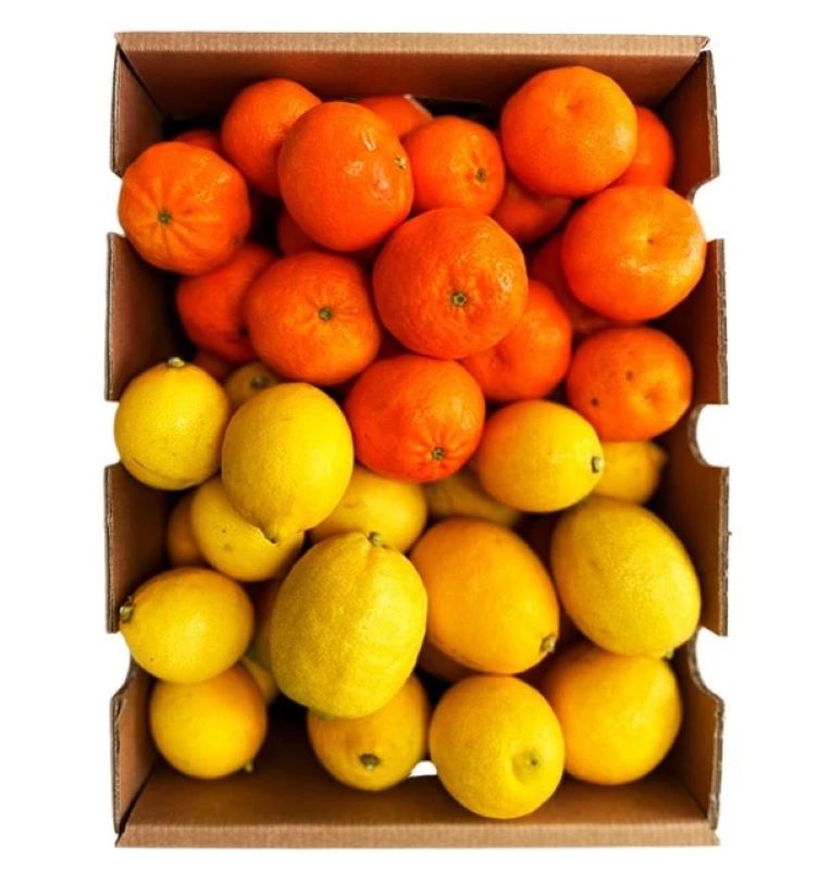 Mix Mandarinas Clementinas Y Limones Verna Valencianos Tropitop 4kg_0