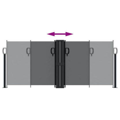 Vidaxl Toldo Lateral Retráctil Negro 100x600 Cm_4