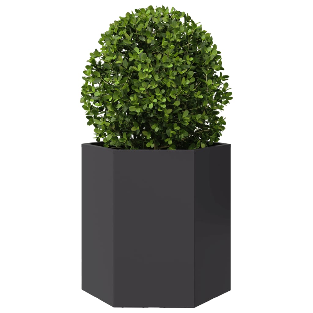 Jardineras Hexagonales 2 Uds Acero Negra 46x40x45 Cm_4